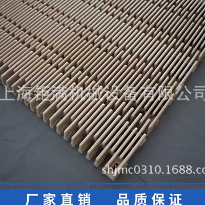 4809裙邊塑料網(wǎng)帶 4809裙邊塑料網(wǎng)帶