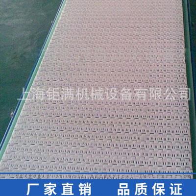 100P進(jìn)口原料塑料網(wǎng)帶 100P進(jìn)口原料塑料網(wǎng)帶